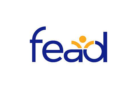Logo Fead